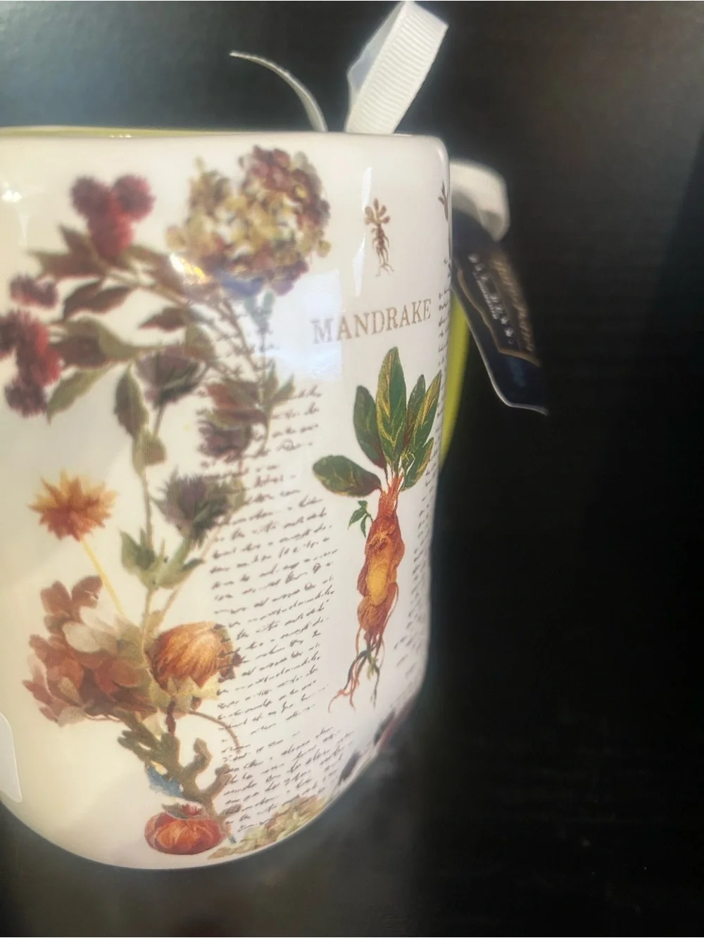 Rae Dunn Hogwarts Herbology Mug - White with Green Handle
